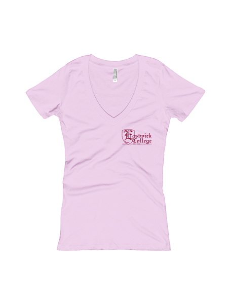 Classic Soft V-Neck Tee (LARGE) – The Eastwick Education Store